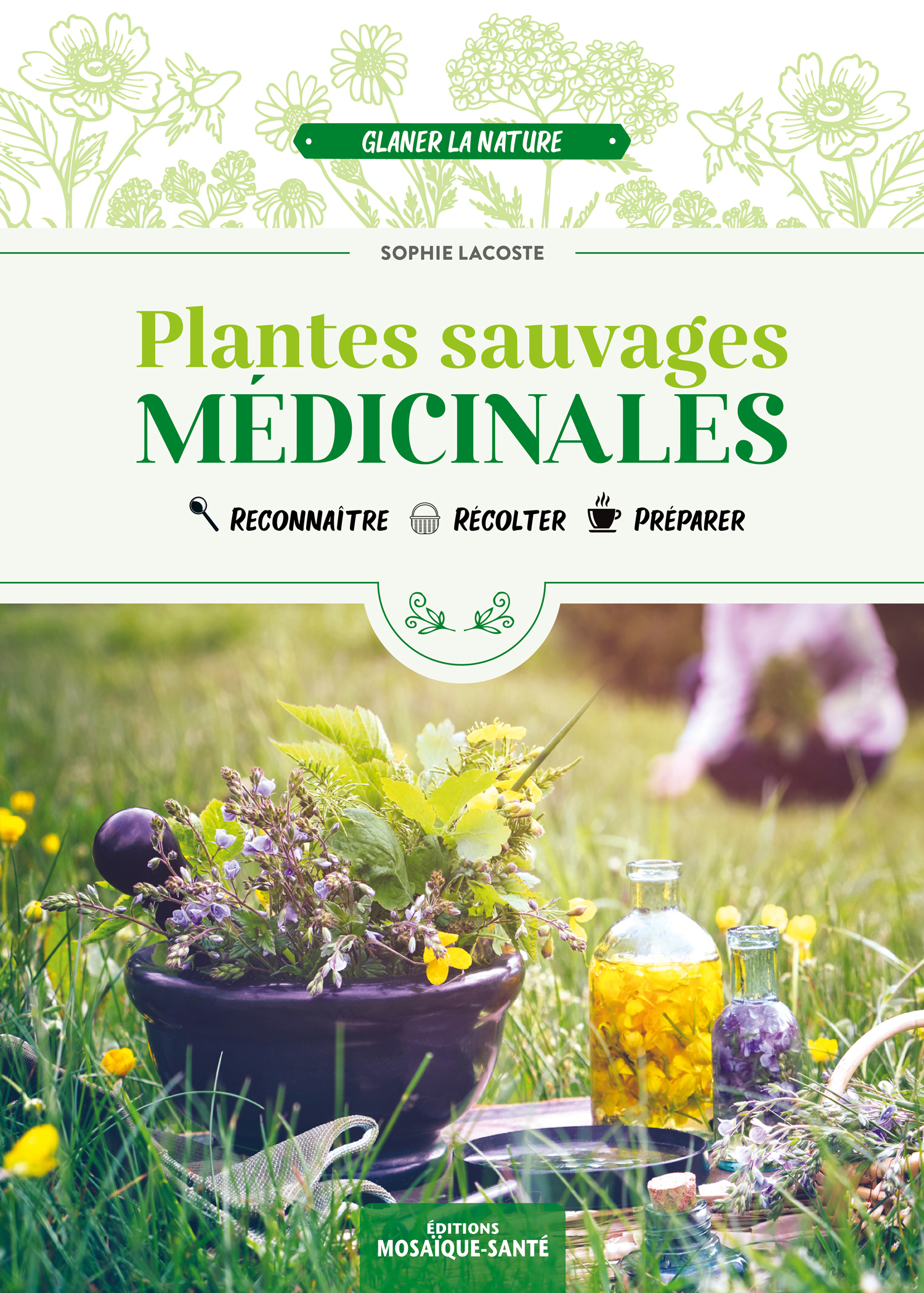 Plantes sauvages médicinales